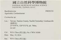 登錄號:F0038252藏品圖，第2張