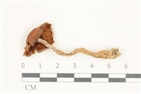 登錄號:F0038252藏品圖，第3張