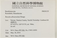 登錄號:F0038255藏品圖，第2張