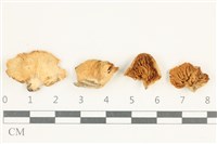 登錄號:F0038256藏品圖，第1張