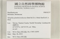登錄號:F0038257藏品圖，第2張