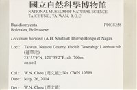 登錄號:F0038258藏品圖，第2張