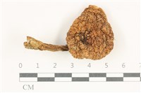 登錄號:F0038258藏品圖，第1張