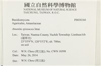 登錄號:F0038260藏品圖，第2張