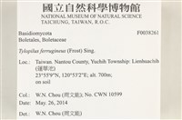 登錄號:F0038261藏品圖，第2張