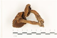 登錄號:F0038261藏品圖，第3張
