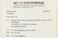 登錄號:F0038262藏品圖，第2張