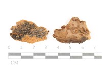 登錄號:F0038268藏品圖，第1張
