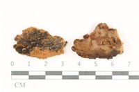 登錄號:F0038268藏品圖，第3張