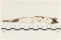 登錄號:F0038269藏品圖，第1張