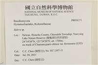 登錄號:F0038271藏品圖，第2張