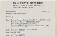 登錄號:F0038272藏品圖，第2張