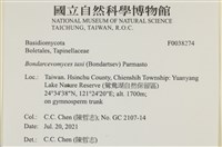 登錄號:F0038274藏品圖，第2張