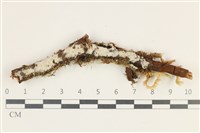 登錄號:F0038278藏品圖，第1張
