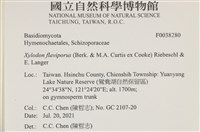 登錄號:F0038280藏品圖，第2張