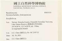 登錄號:F0038281藏品圖，第2張