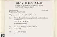 登錄號:F0038282藏品圖，第2張