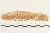 登錄號:F0038282藏品圖，第1張