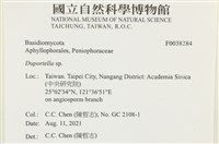 登錄號:F0038284藏品圖，第2張