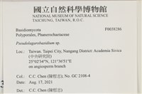 登錄號:F0038286藏品圖，第2張