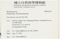 登錄號:F0038287藏品圖，第2張