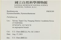 登錄號:F0038289藏品圖，第2張