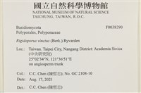 登錄號:F0038290藏品圖，第2張