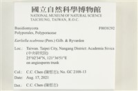 登錄號:F0038292藏品圖，第2張