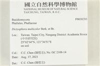 登錄號:F0038293藏品圖，第2張