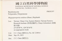 館號:F0038297藏品圖，第2張