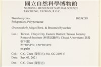 登錄號:F0038298藏品圖，第2張