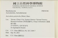 毛木耳藏品圖，第2張