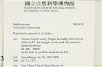 登錄號:F0038303藏品圖，第2張