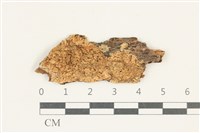登錄號:F0038308藏品圖，第1張