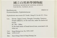 登錄號:F0038310藏品圖，第2張