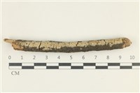登錄號:F0038313藏品圖，第1張