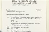 登錄號:F0038315藏品圖，第2張