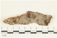 登錄號:F0038319藏品圖，第1張