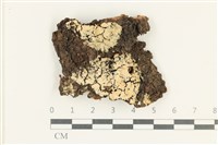 登錄號:F0038326藏品圖，第1張