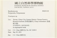 登錄號:F0038328藏品圖，第2張