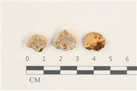 登錄號:F0038329藏品圖，第1張