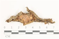 登錄號:F0038330藏品圖，第1張