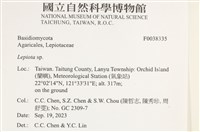 登錄號:F0038335藏品圖，第2張