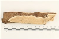 Accession Number:F0038336 Collection Image, Figure 1, Total 2 Figures