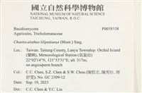 登錄號:F0038338藏品圖，第2張