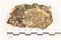 登錄號:F0038341藏品圖，第1張