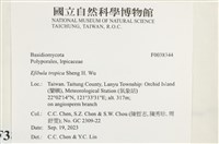登錄號:F0038344藏品圖，第2張