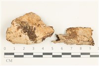 登錄號:F0038348藏品圖，第1張