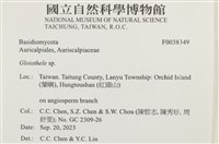 登錄號:F0038349藏品圖，第2張