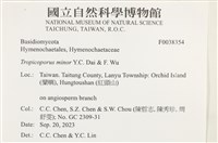 登錄號:F0038354藏品圖，第2張